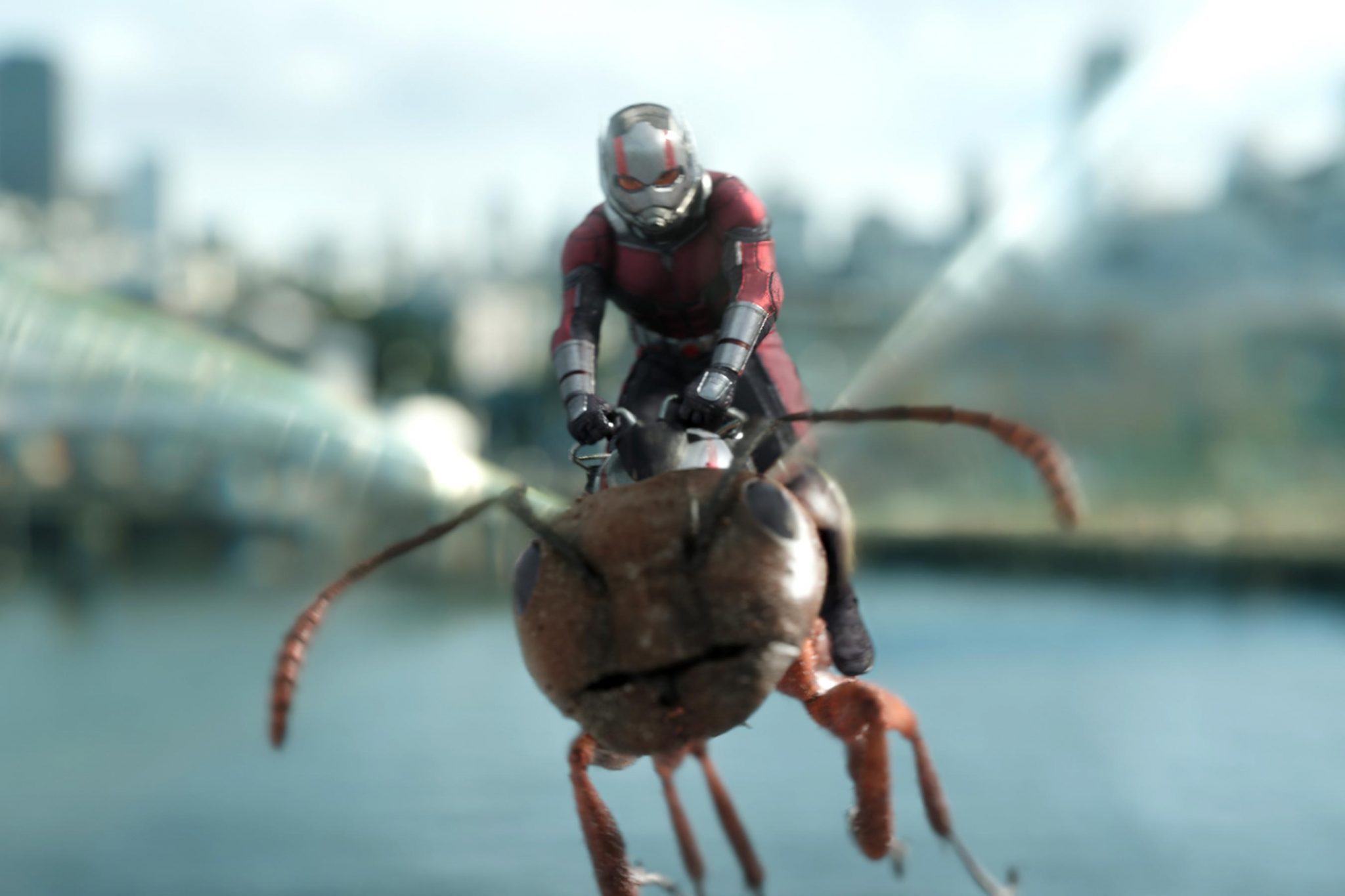 15 عکس جدید فیلم مرد مورچه ای و زنبورک